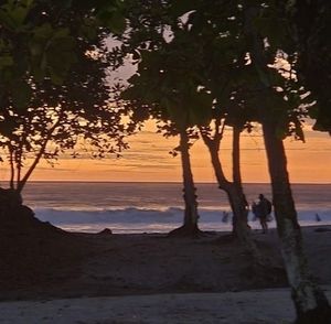 Meet your Posher, Liz